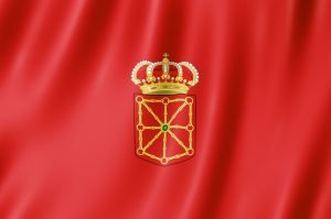 Renovar el DNI en la Provincia de Navarra